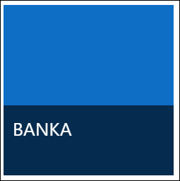 Bank Payment